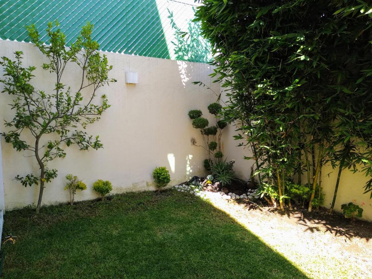 Habitacion Matrimonial Con Cama Y Sofa Para Cuatro Personas Tlaxcalancingo Eksteriør billede